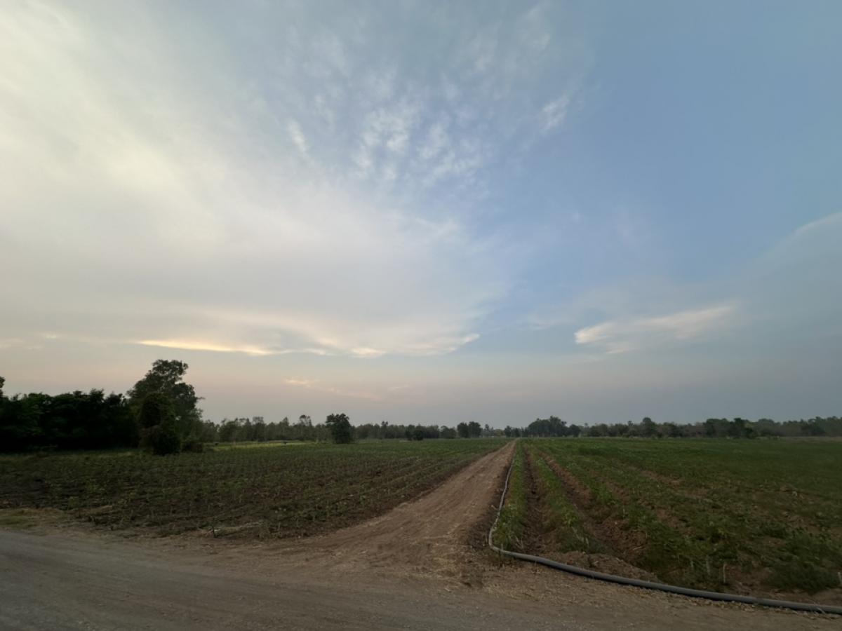 ขายที่ดินแปลงสวยทำเลทองติดถนนราคาไม่แพง ต.หนองโพ อ.ตาคลี จ.นครสวรรค์ 